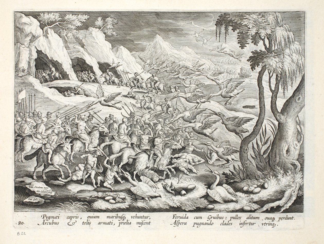 Pygmeeën op geiten jagen op Kraanvogel, illustratie uit 