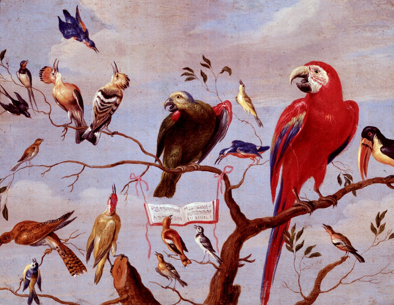 Een koor van vogels, ca. 1650-1675 door Jan van Kessel the Elder