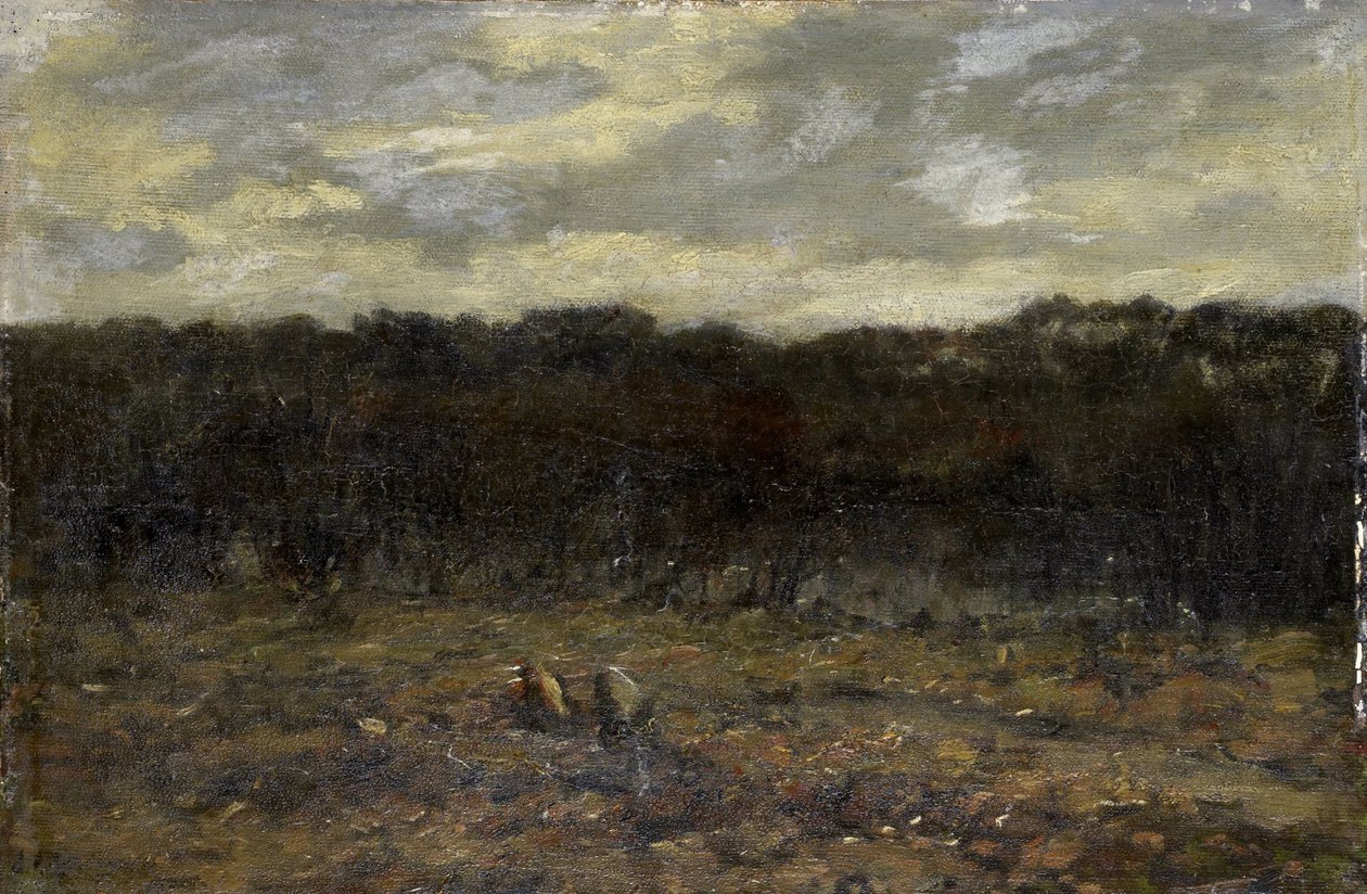 Vennetje op de heide door Jan Adam Zandleven