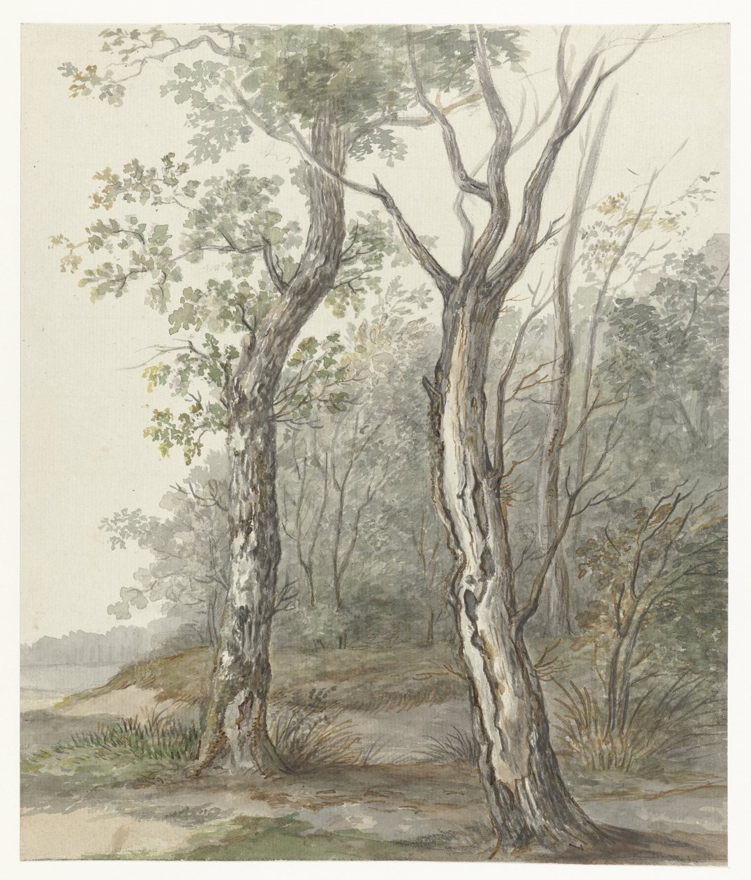 Boslandschap door Jan Dasveldt
