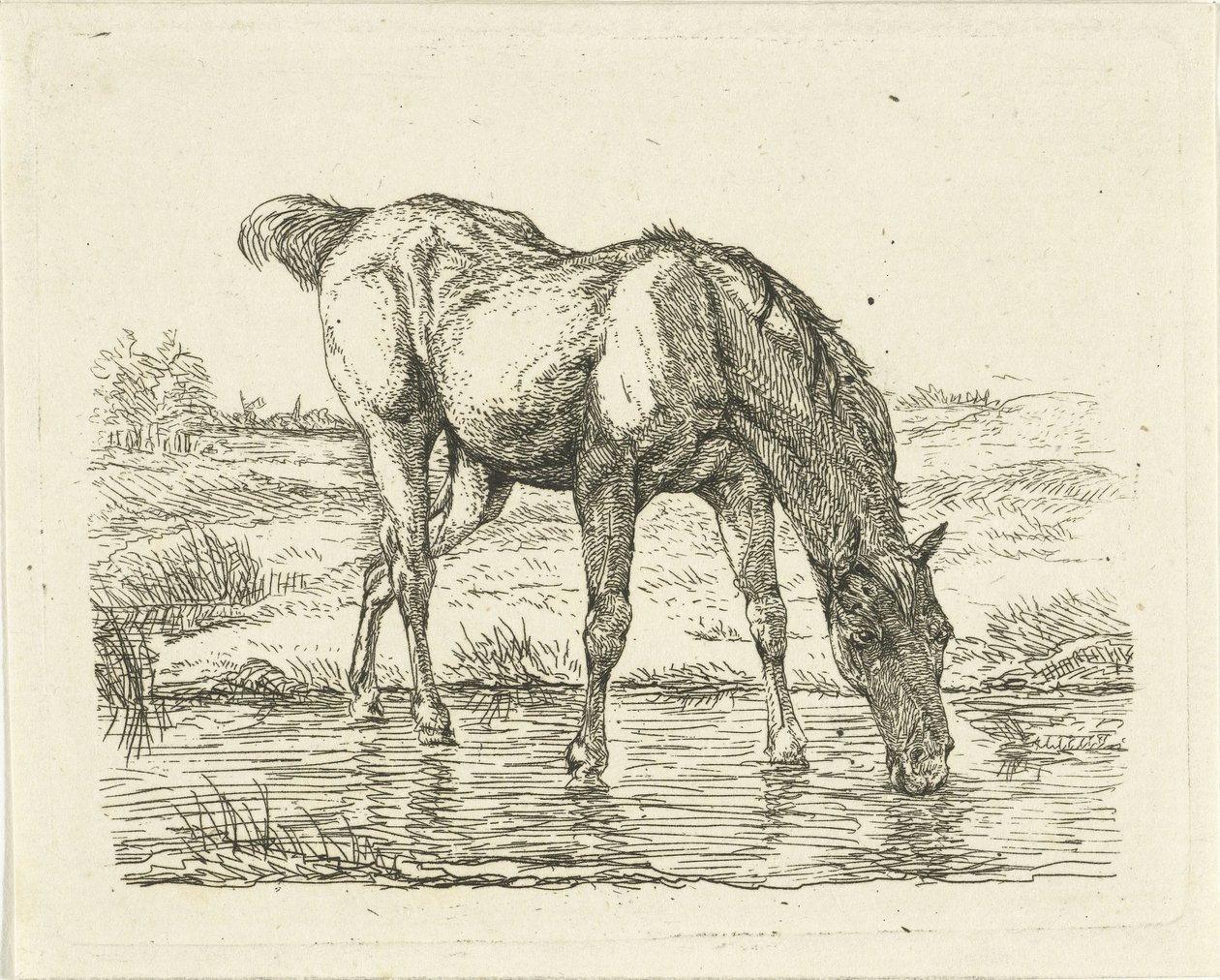 Drinkend paard door Jan Dasveldt