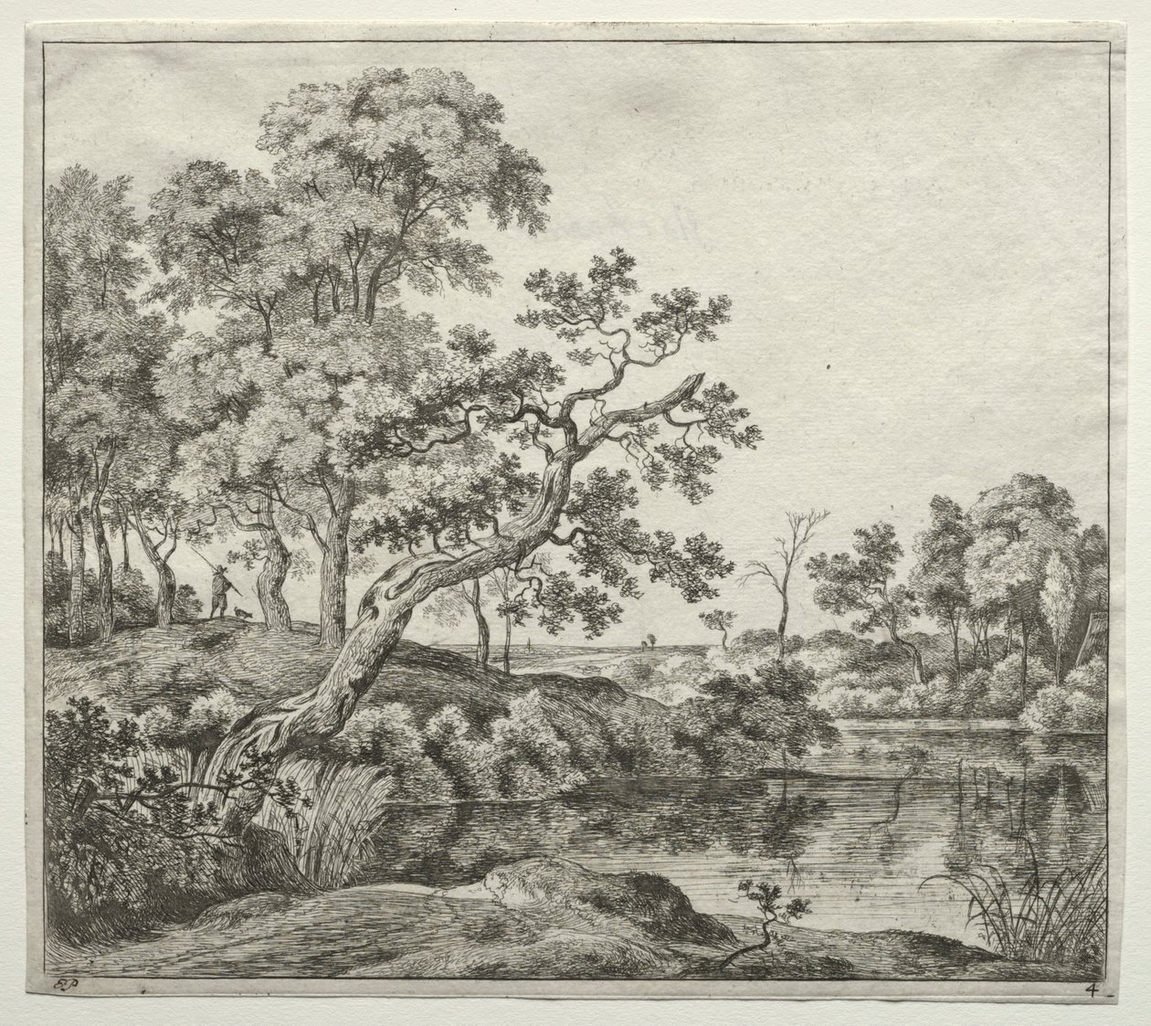 De gebogen boom door Jan Hackaert