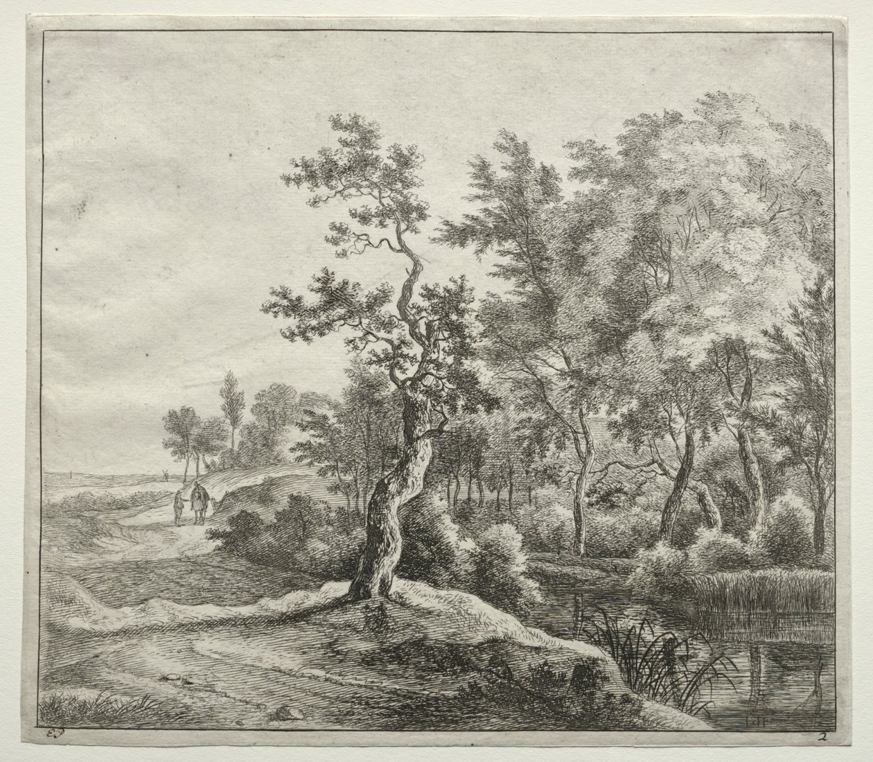 De Serpentijnweg door Jan Hackaert