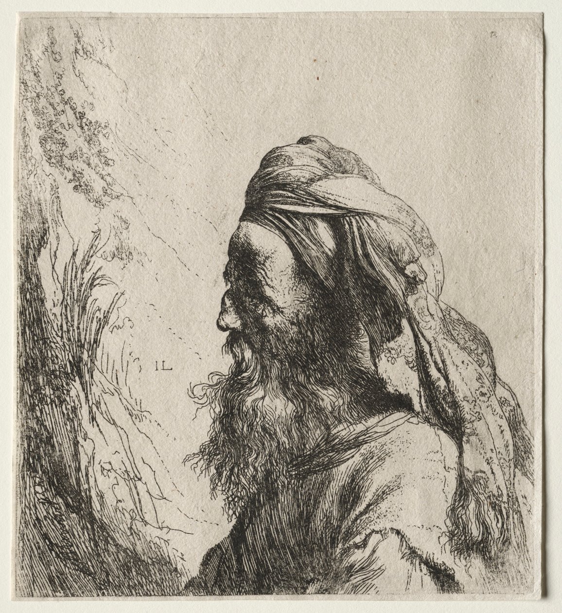 Hoofd van een oosterling door Jan Lievens