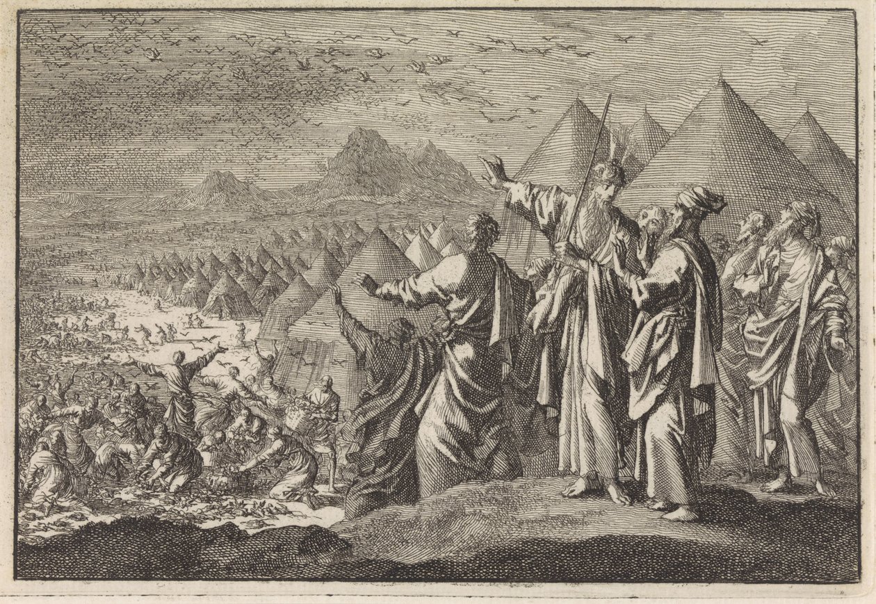 Kwartels in de woestijn door Jan Luyken