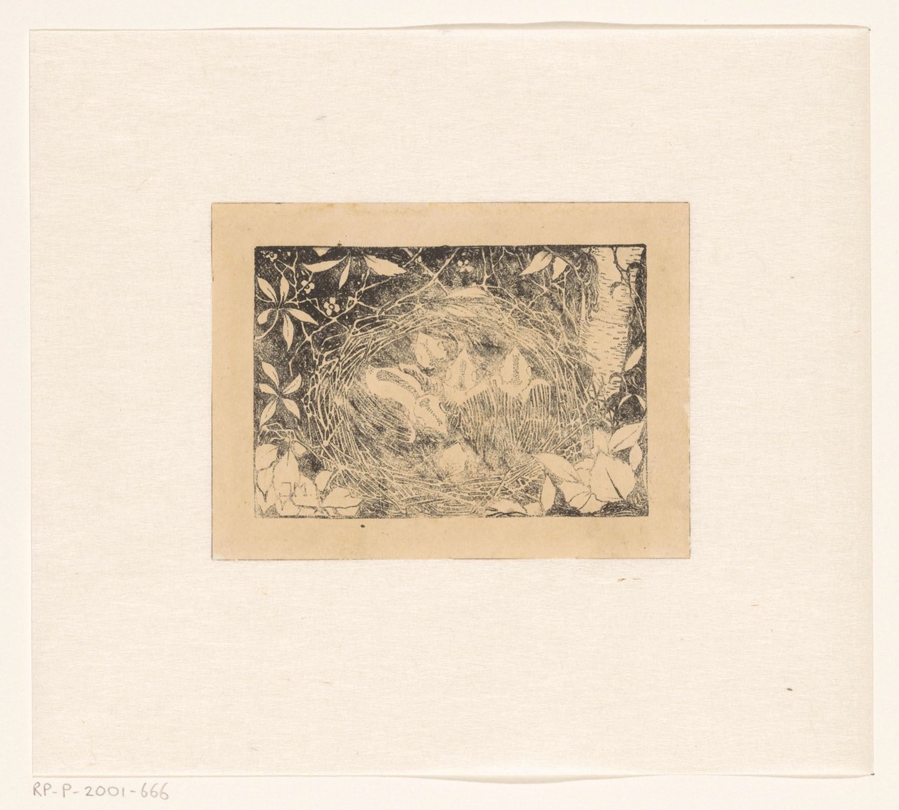 Vogelnest door Jan Mankes
