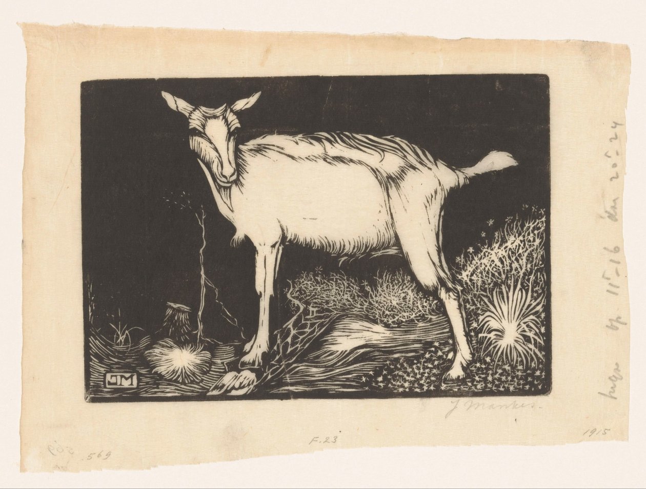 Witte geit door Jan Mankes