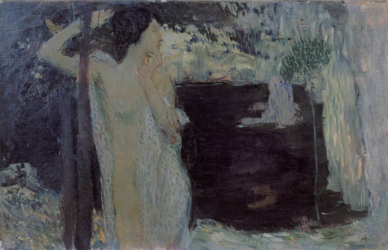 Vrouw bij Zwart Meer, 1904 door Jan Preisler