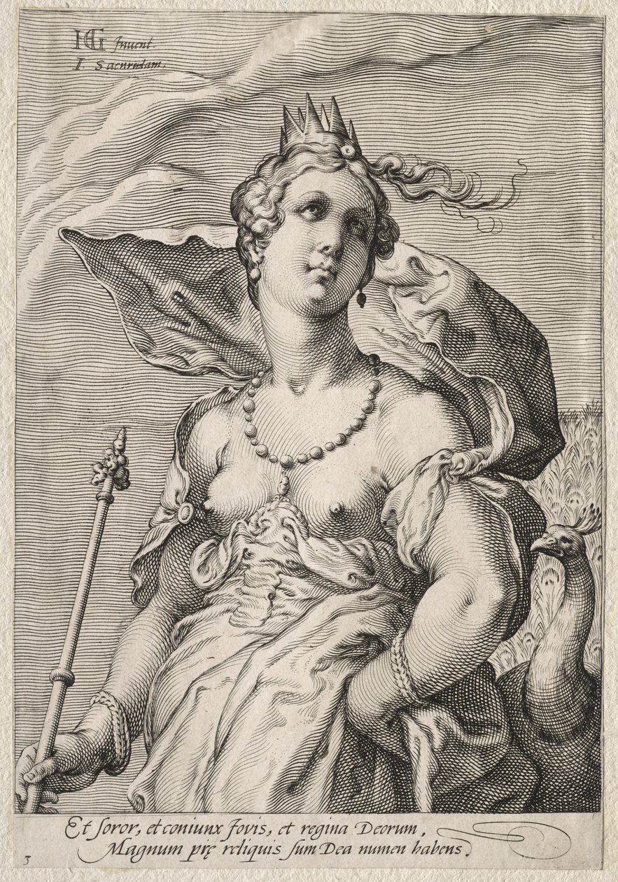 Juno door Jan Saenredam