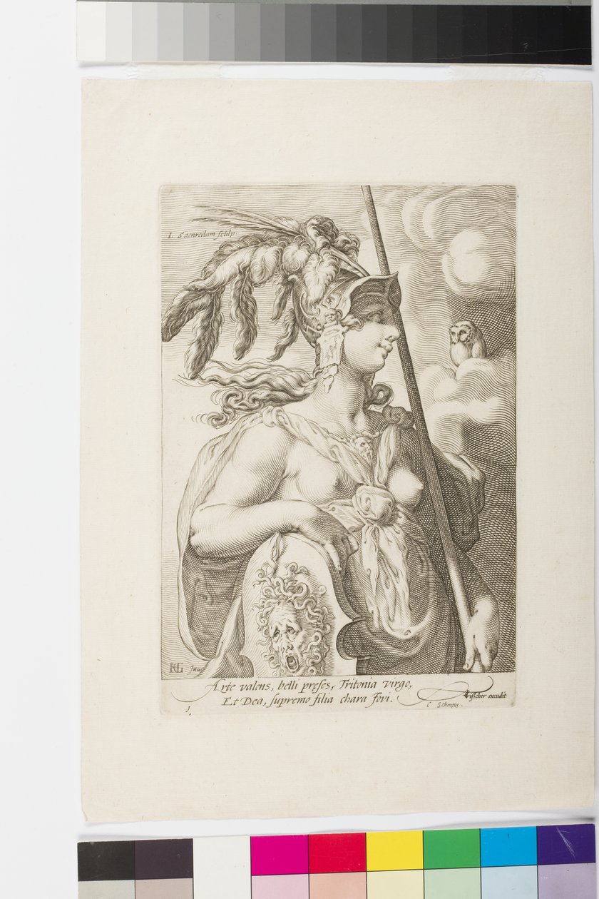 Minerva door Jan Saenredam