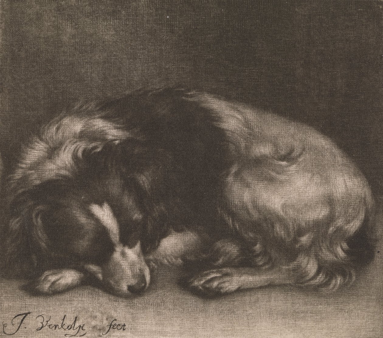 Een slapende hond door Jan Verkolje