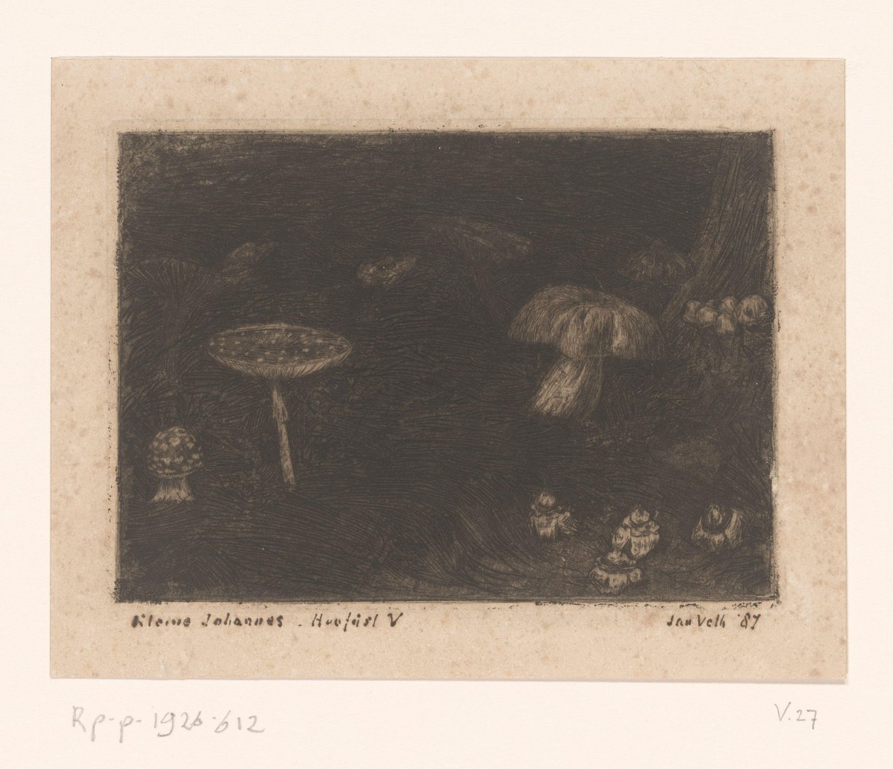 Paddenstoelen door Jan Veth (signed by artist)