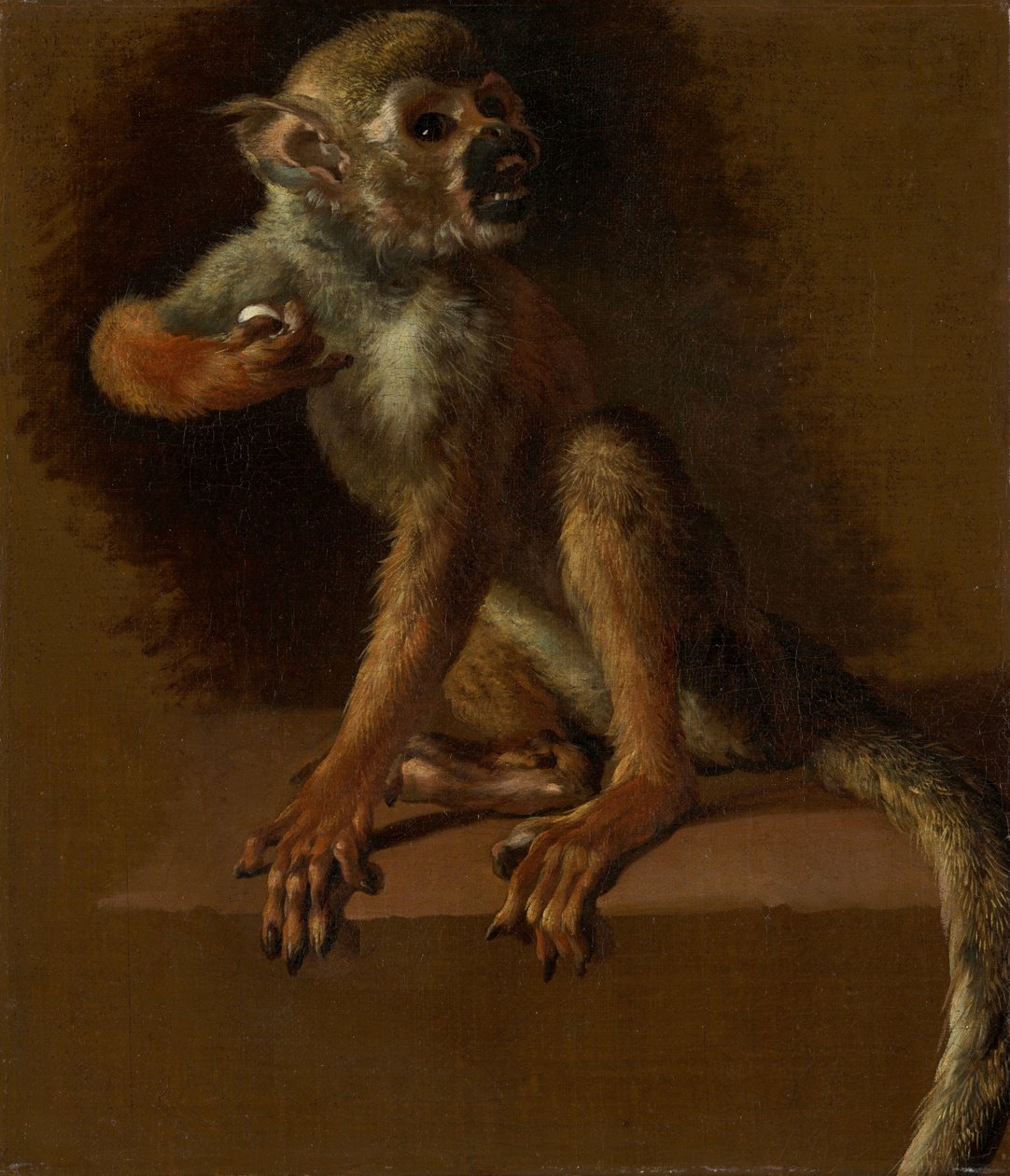 Een zittende aap door Jan Baptist Weenix