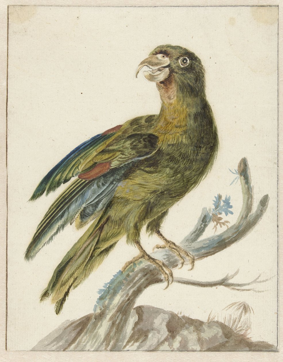 Parkiet door Jan Baptist Weenix