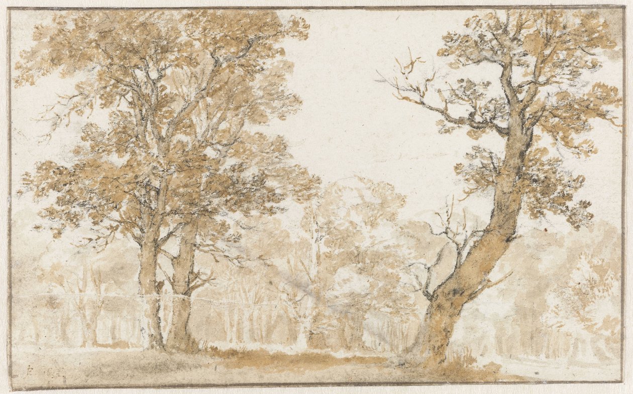 Haagse Bos door Jan de Bisschop