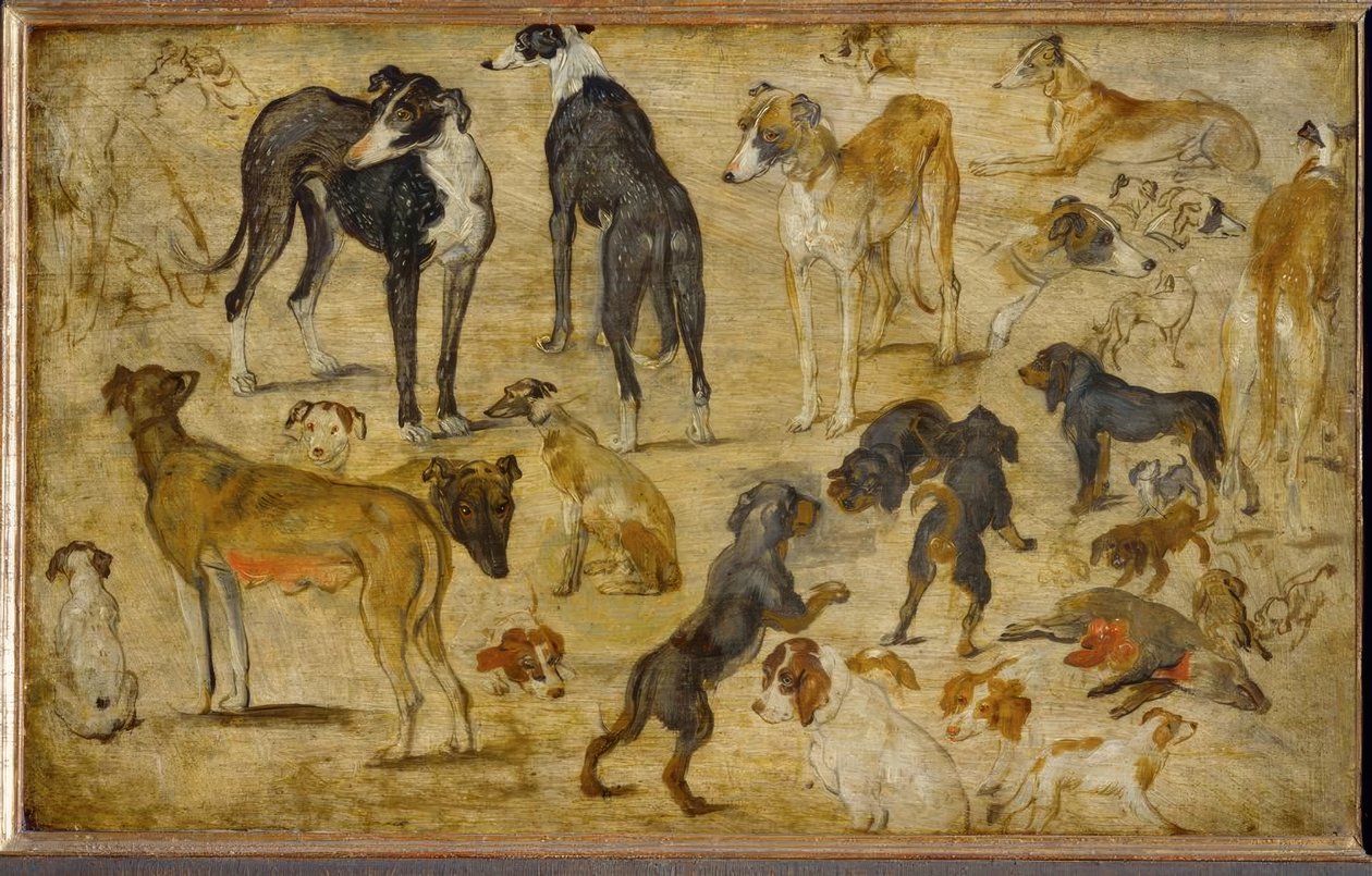 Dierstudies door Jan the Elder Brueghel