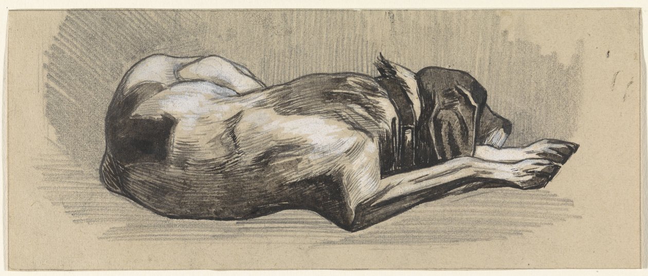 Slapende hond, naar rechts door Jan van Essen