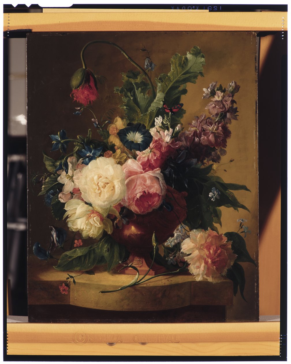 Bloemen Stilleven door Jan van Huysum