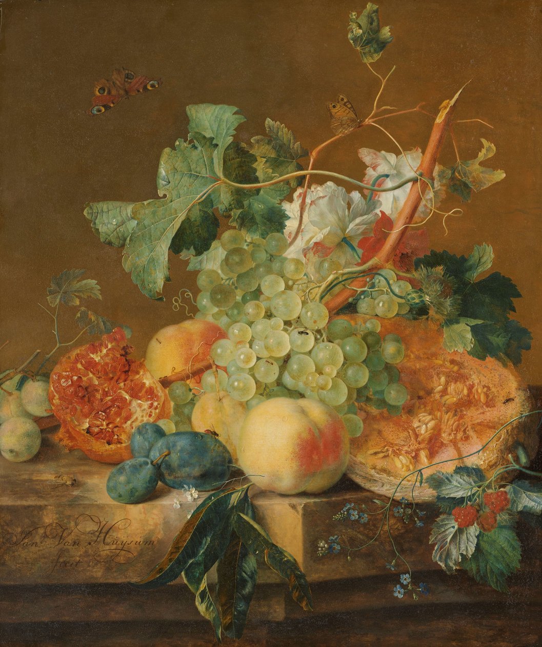 Stilleven met fruit door Jan van Huysum