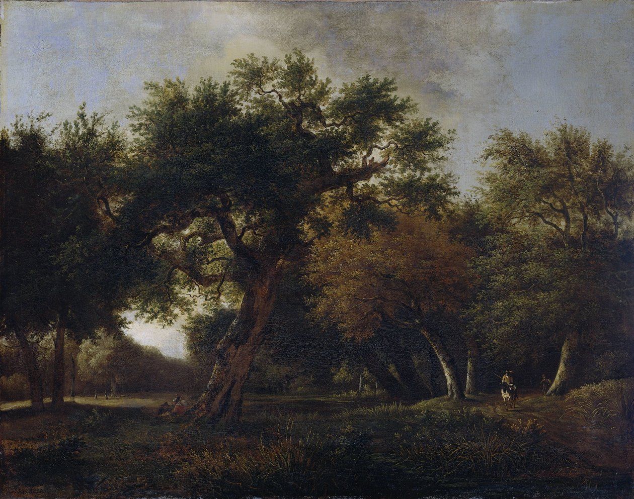 Uitzicht in het bos door Jan van  Kessel