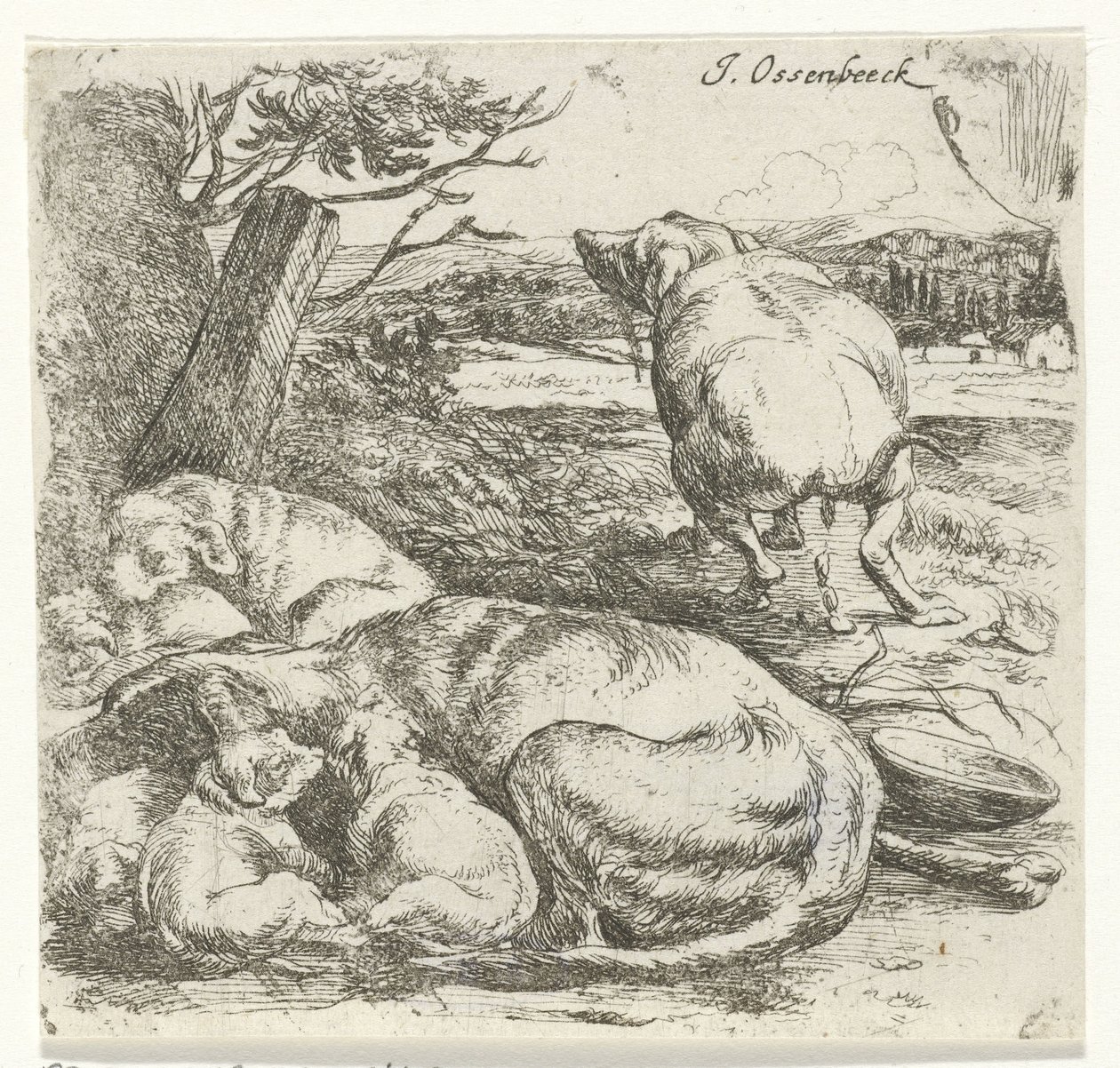 Teefje met puppies door Jan van Ossenbeeck