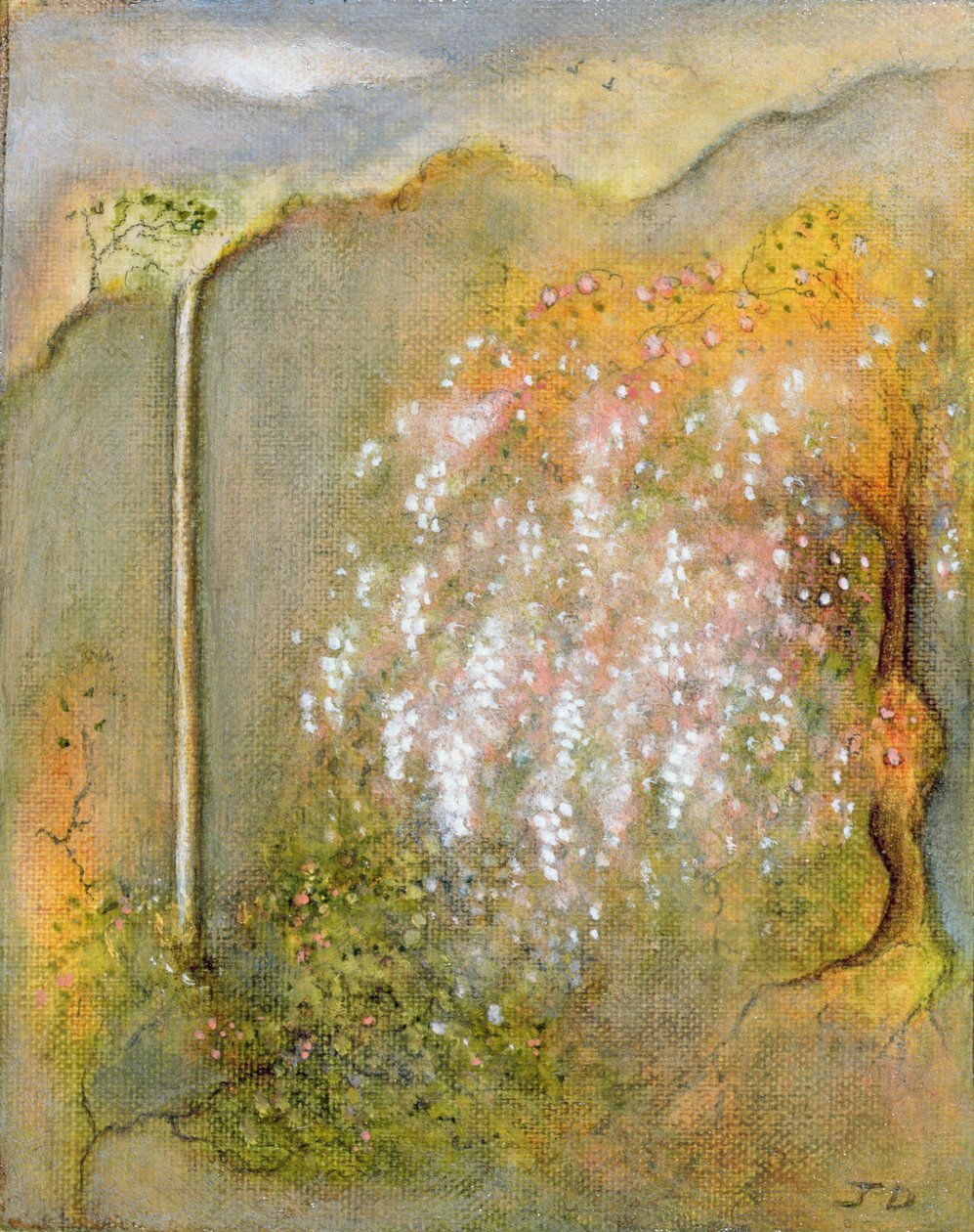 Witte Wisteria, 2001 door Jane Deakin