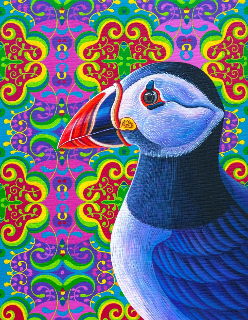 Papegaaiduiker, 2018 door Jane Tattersfield