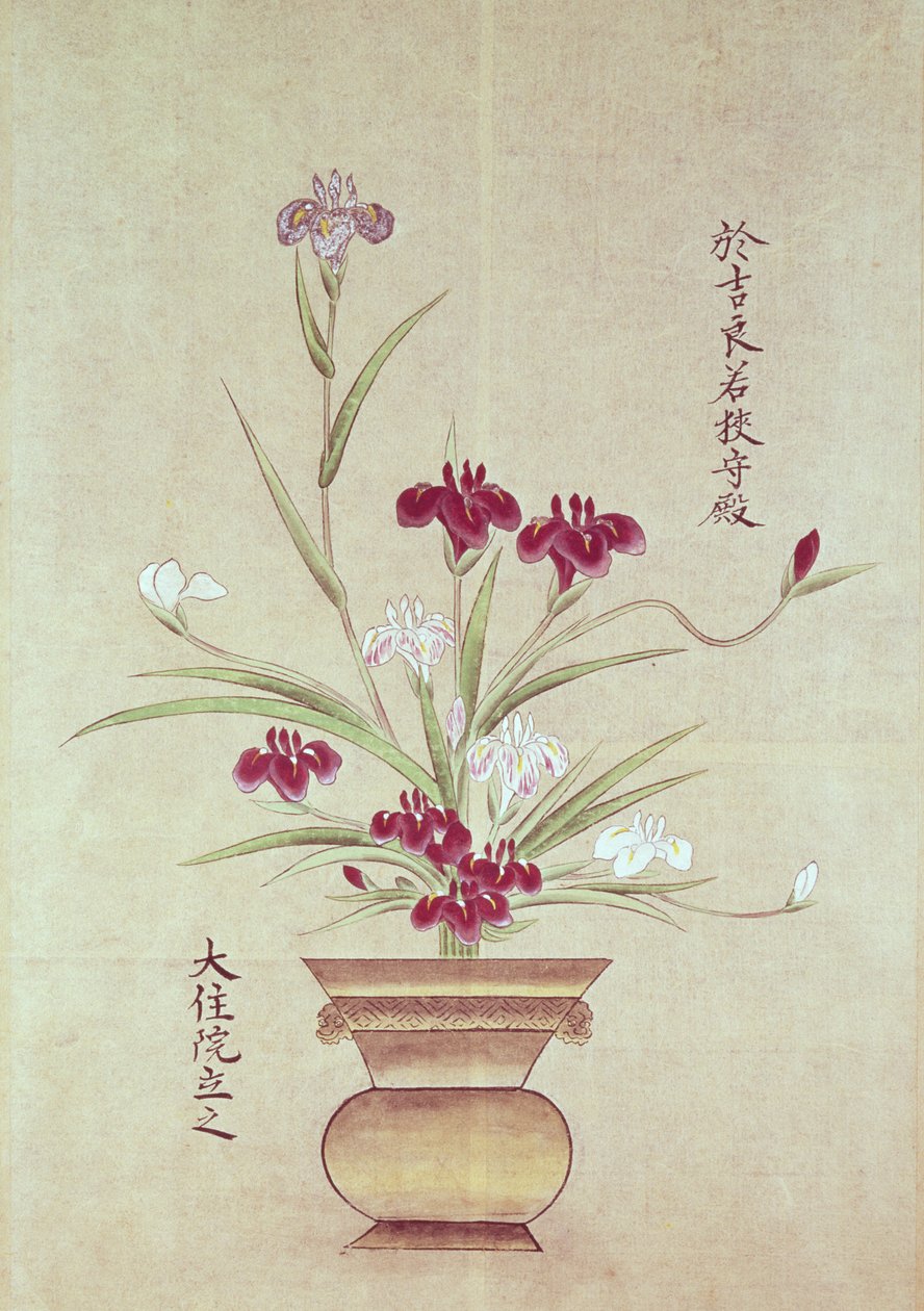 Orchideeën door Japanese School