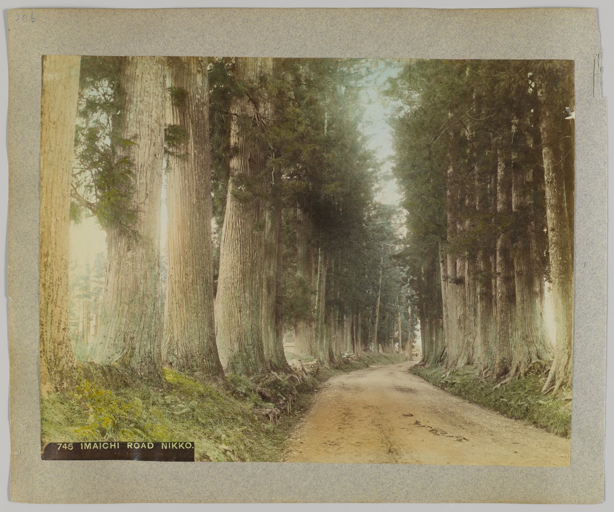Imaichi-weg, Nikko, Japan (handgekleurde zwart-wit foto) door Japanese Photographer