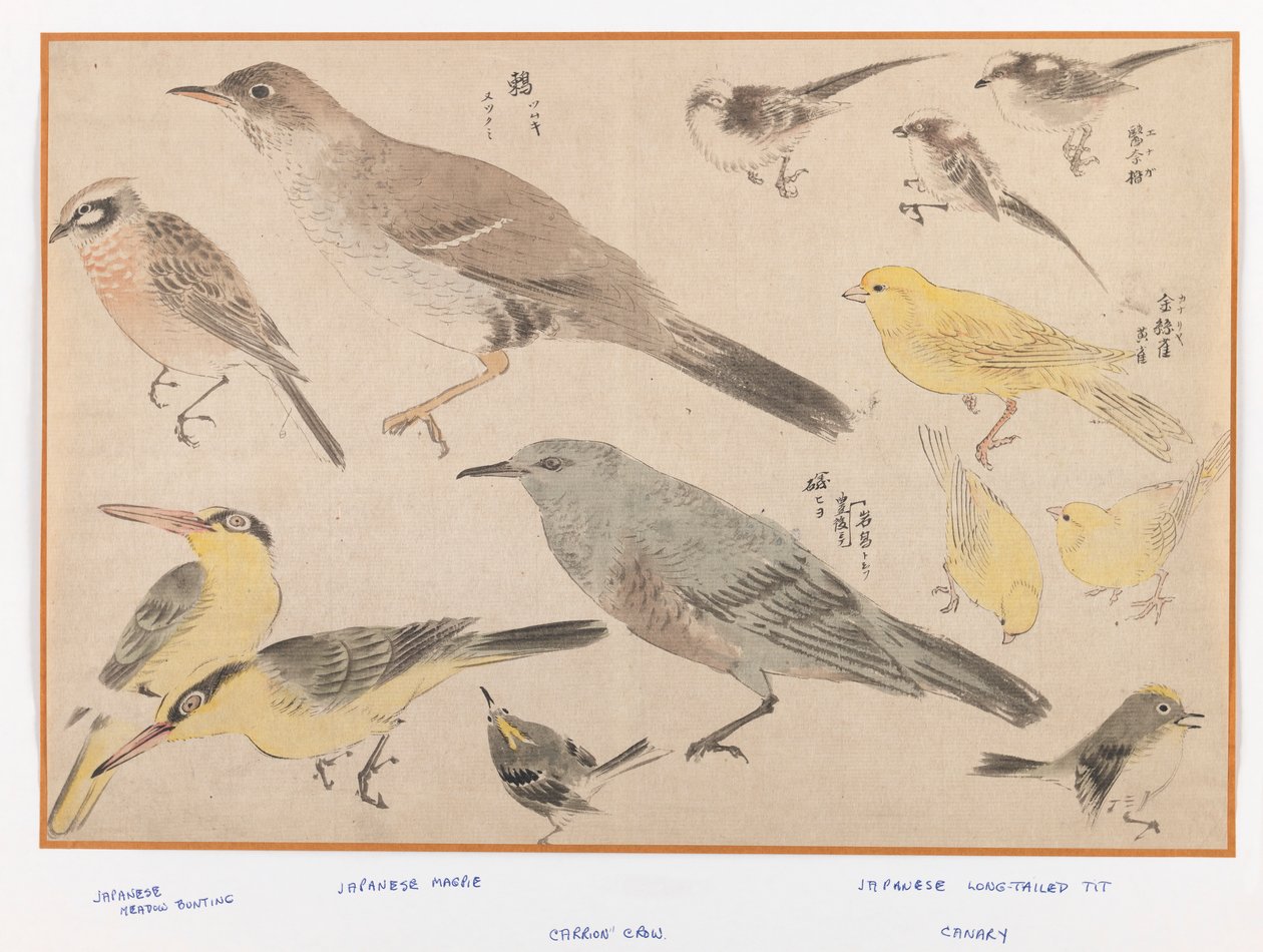 Vogels in Okyo-stijl door Japanese School