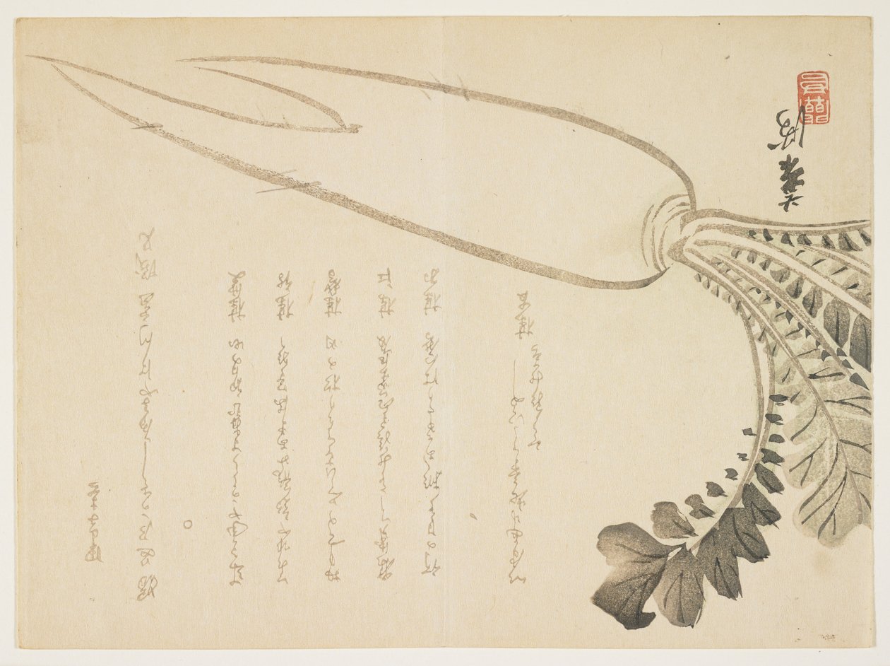 Daikon radijs door Japanese School