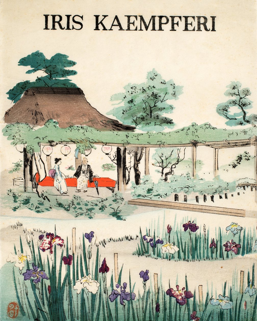 Iris Kaempferi - Vooromslag, 1890 door Japanese School