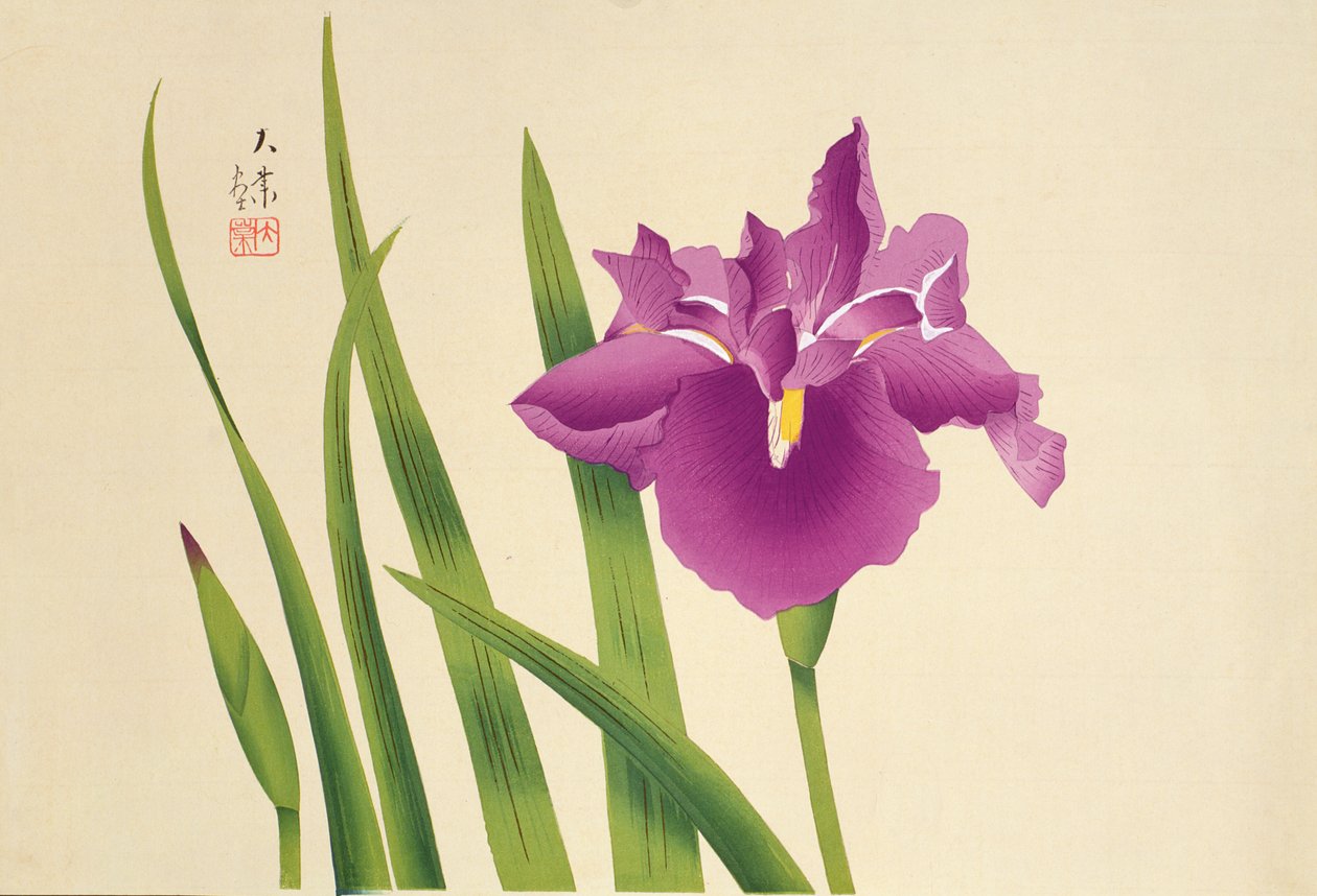 Iris, pub. ca. 1950 door Japanese School