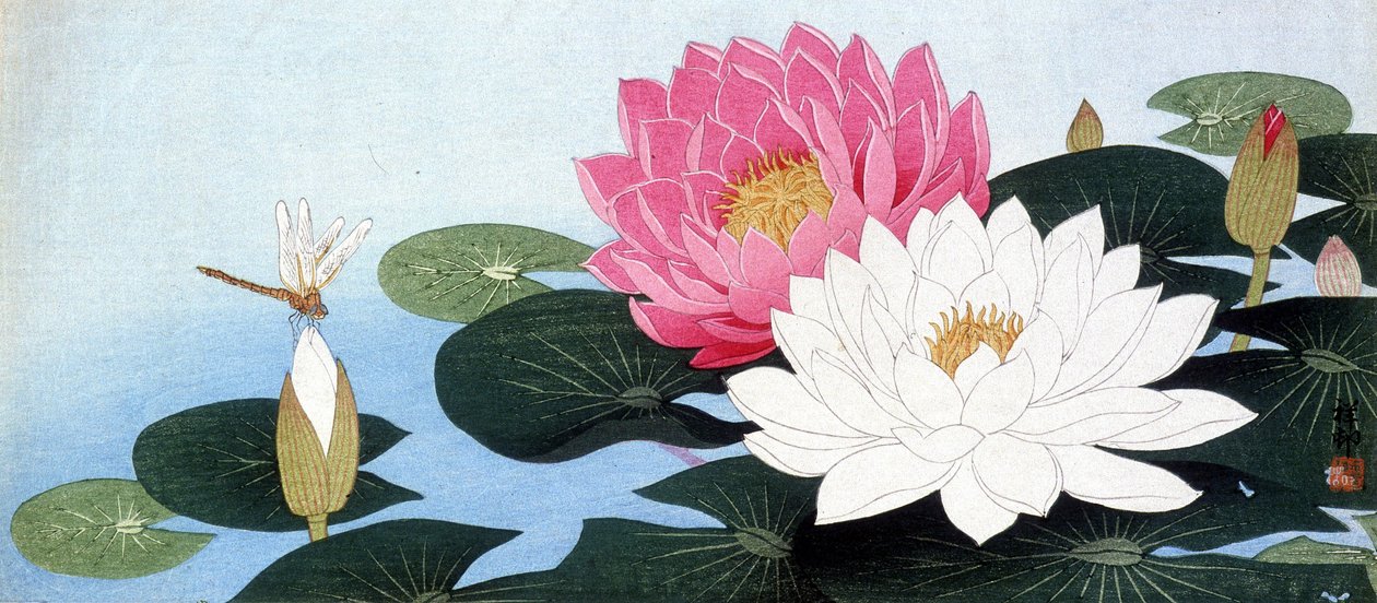 Waterlelies en libel - Japanse prent door Japanese School