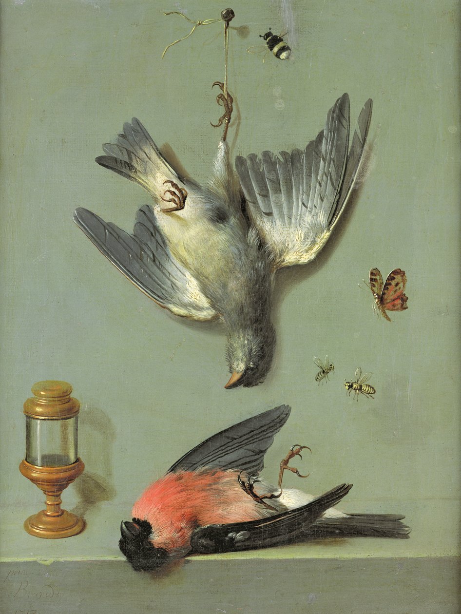 Stilleven met vogels en insecten, 1713 door Jean Baptiste Oudry