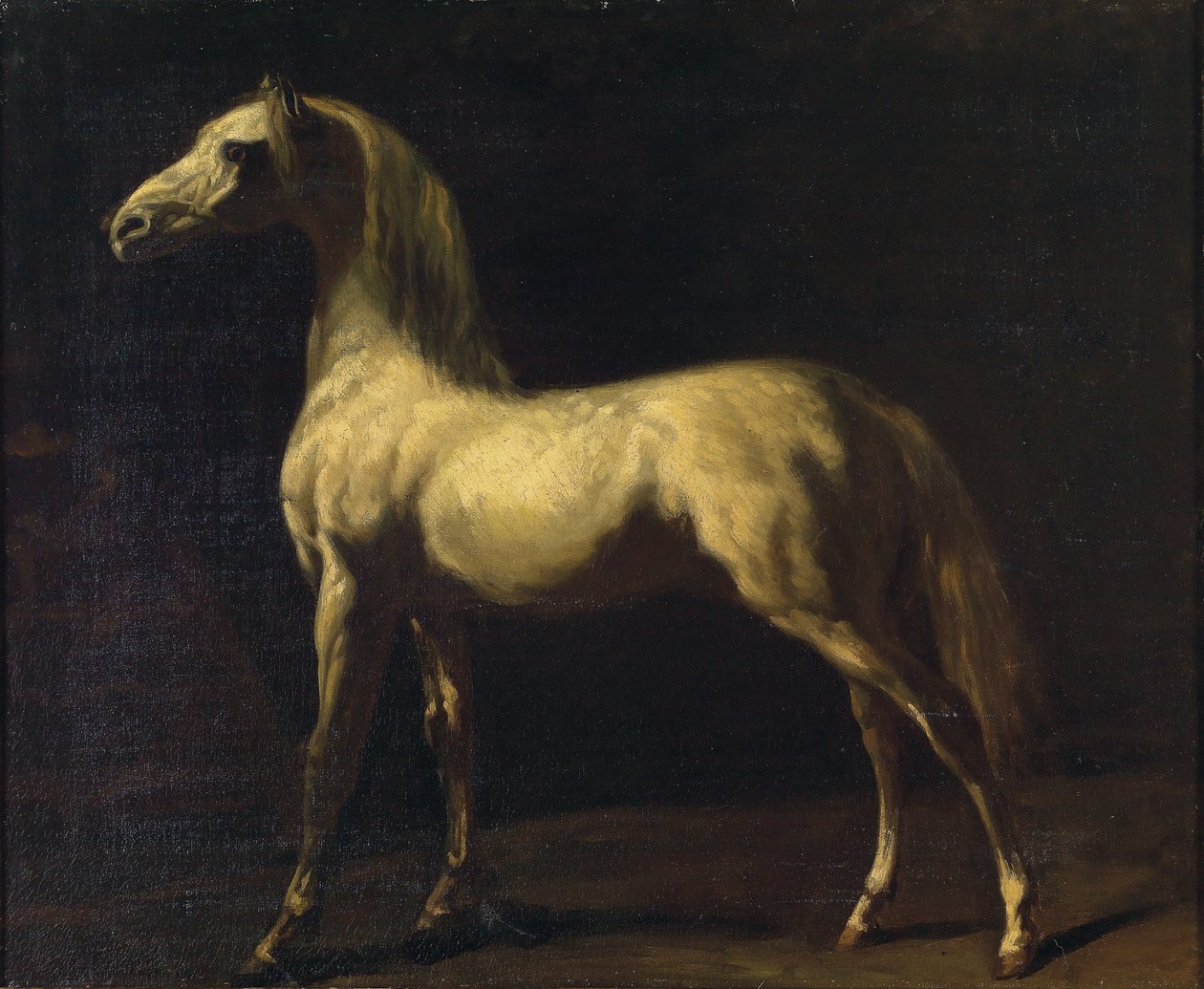 Een staand paard door Theodore Gericault