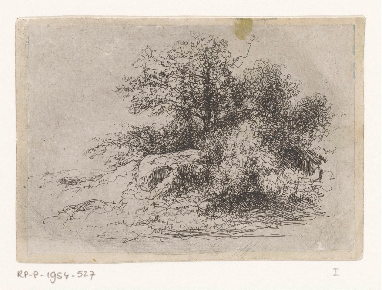 Struikgewas door Jean Alexis Achard