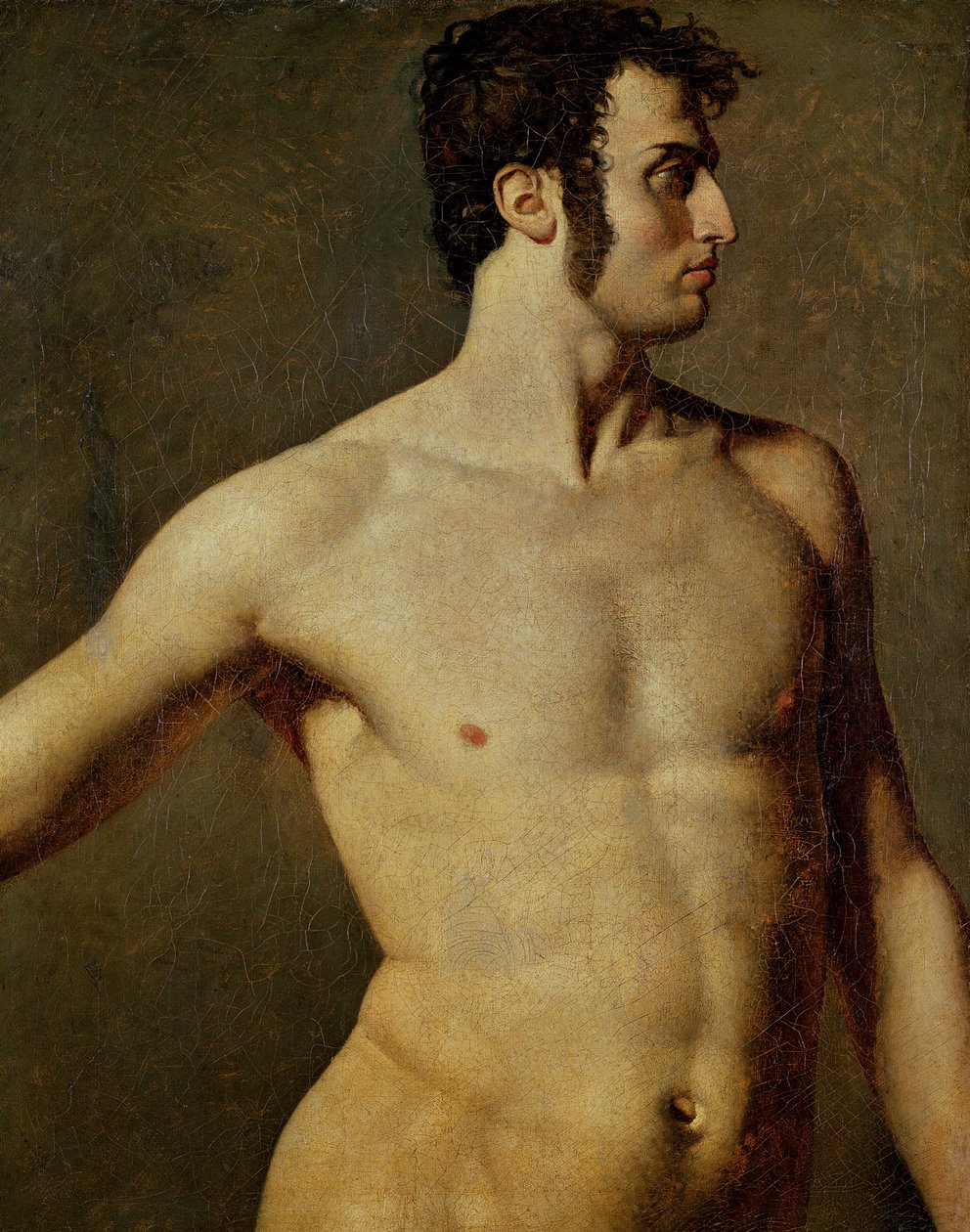Mannelijke torso door Jean Auguste Dominique Ingres