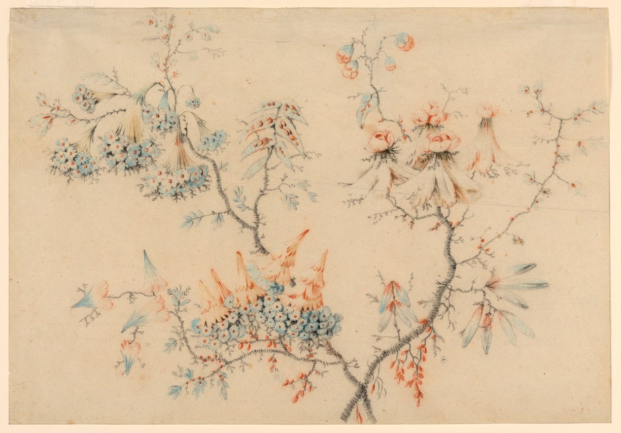 Tekening, Bloeiende takken, 1775-1800 door Jean Baptiste Pillement