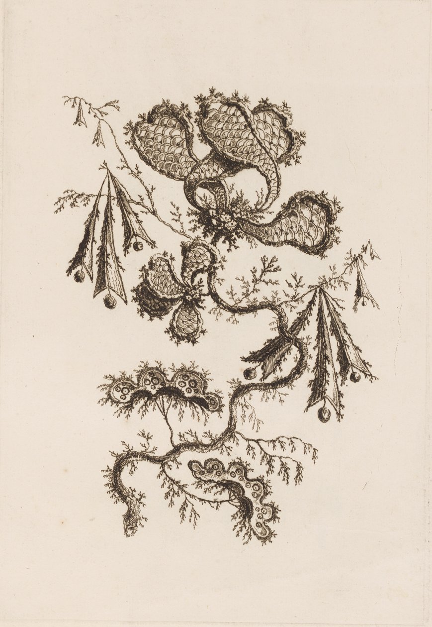 Bloementak, uit 