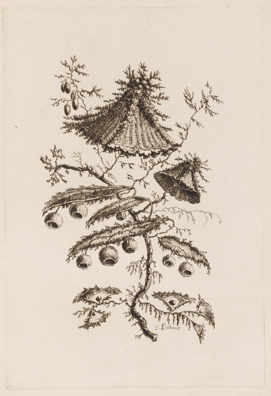 Bloementak, uit "Fleures Persannes" door Jean Baptiste Pillement