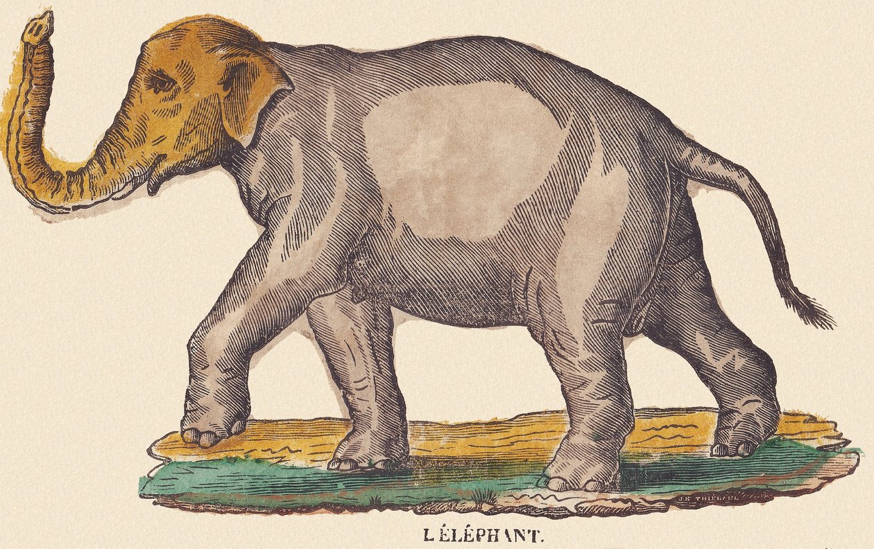 De olifant, c.1840-1852 door Jean Baptiste Thiebault