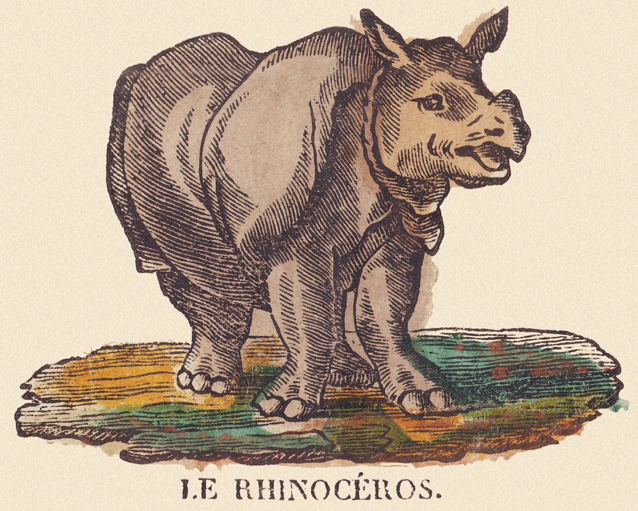 De neushoorn, ca. 1840-1852 door Jean Baptiste Thiebault