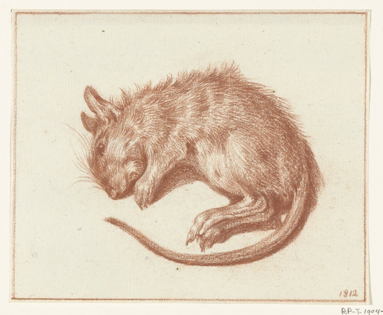 Dode rat door Jean Bernard