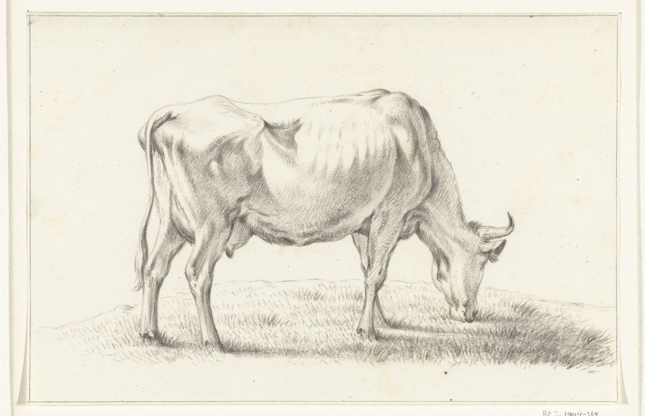 Grazende koe, naar rechts door Jean Bernard