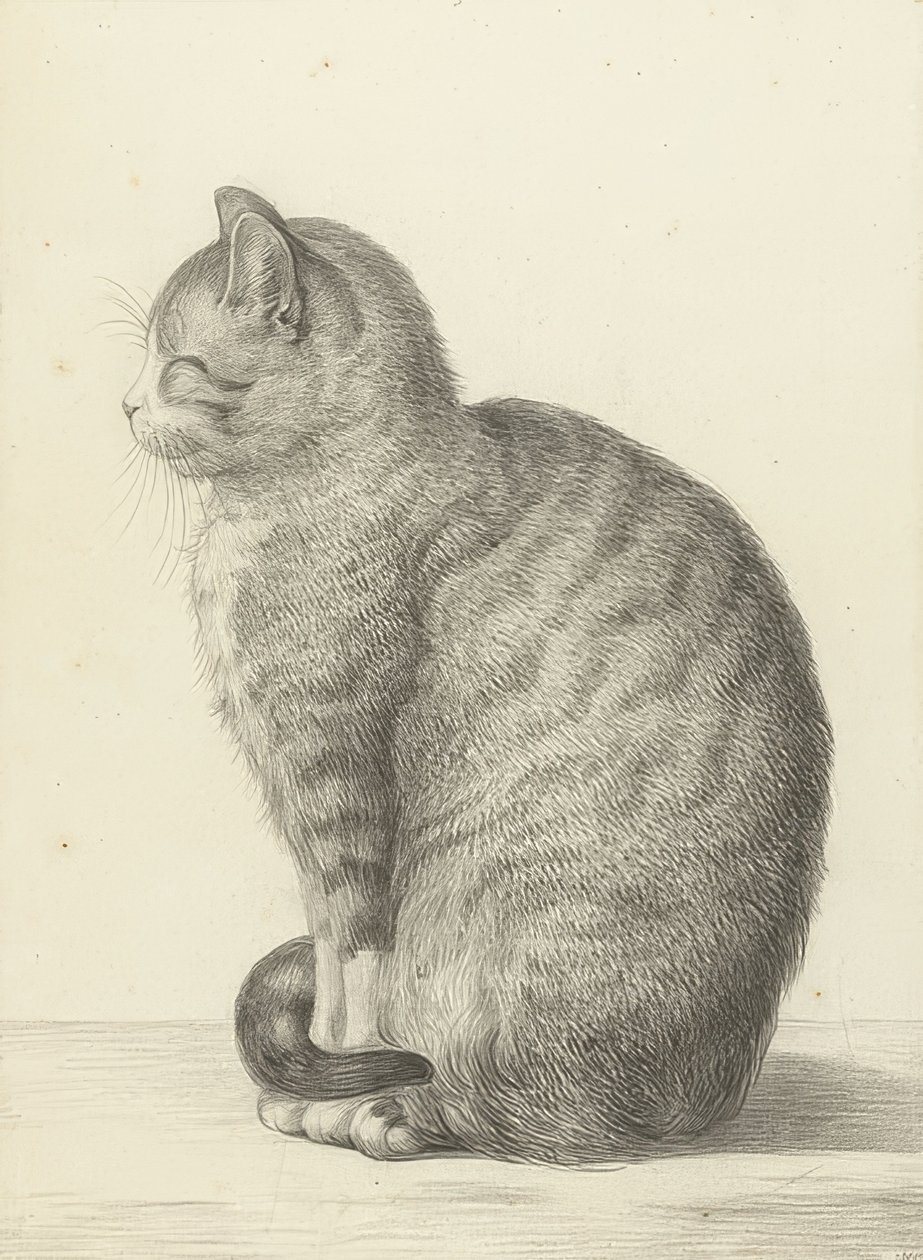 Zittende kat, naar links. 1815 door Jean Bernard
