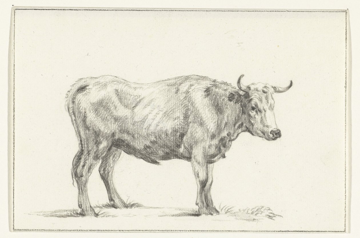 Staande stier, naar rechts door Jean Bernard