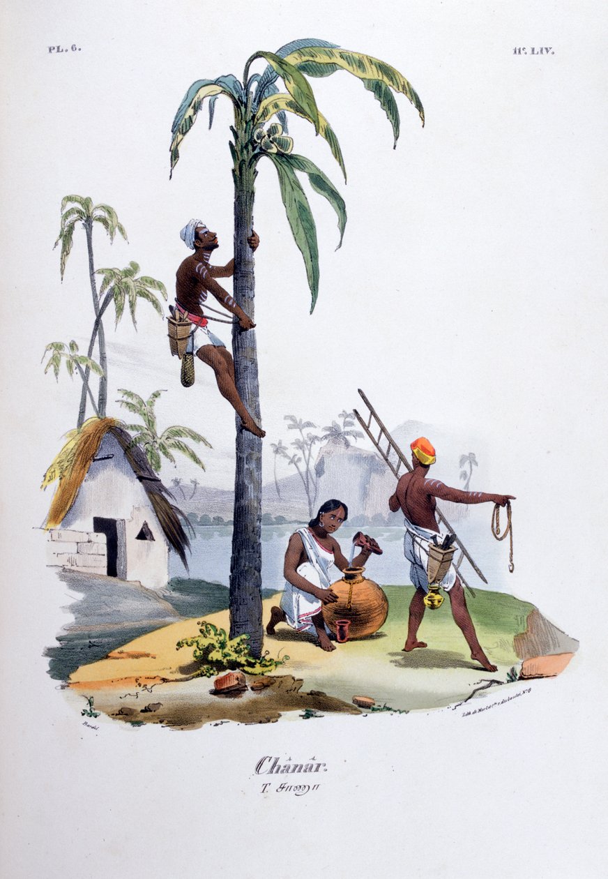 Chanar door Jean Henri Marlet