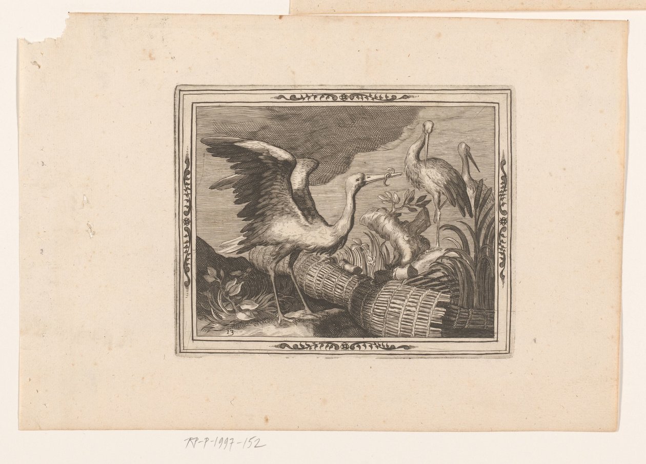 Ooievaars door Jean Leclerc