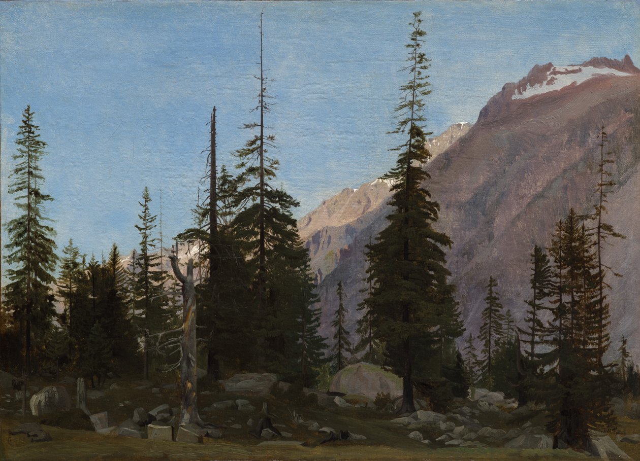 Alpenlandschap: De Handegg, Zwitserland door Jean Leon Gerome